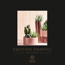 EMOTION GRAPHIC